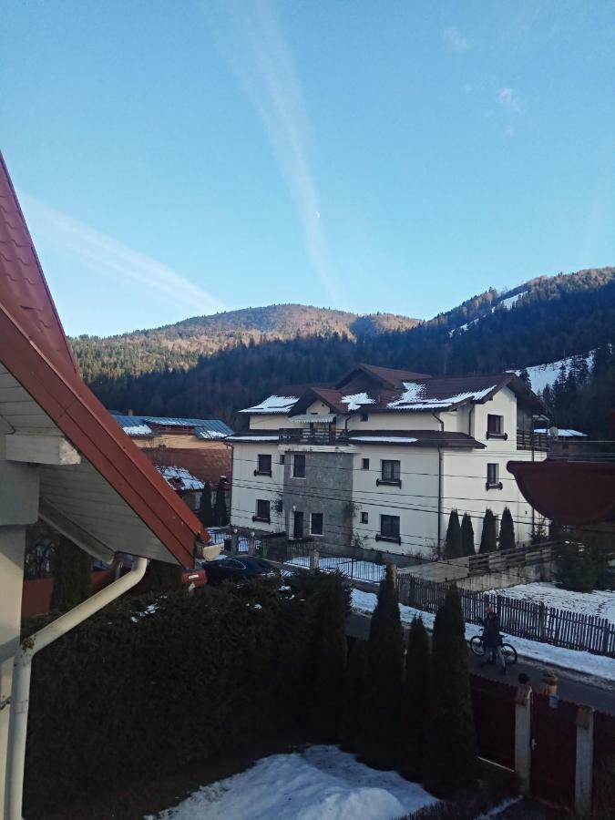 Casa Alexandru Hotel Azuga Luaran gambar