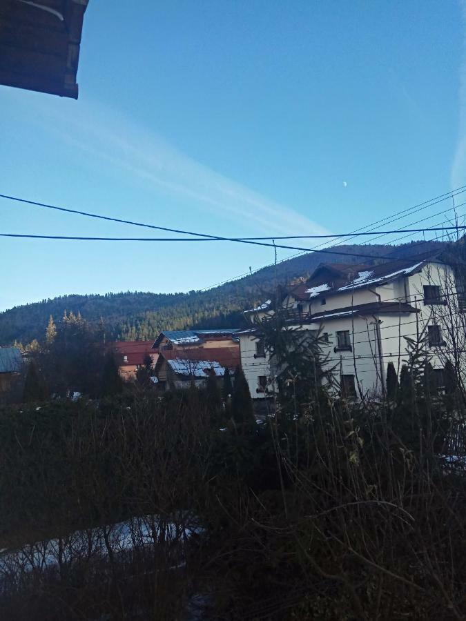Casa Alexandru Hotel Azuga Luaran gambar